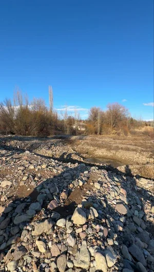 Фото 3 Участок в Бостанлыкском районе