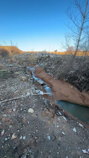 Фото 4 Участок в Бостанлыкском районе