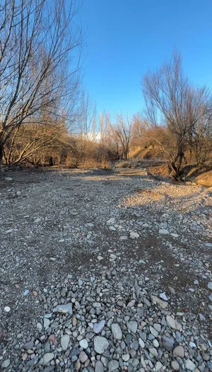 Фото 5 Участок в Бостанлыкском районе