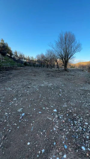 Фото 7 Участок в Бостанлыкском районе