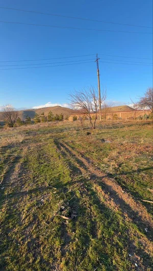 Фото 8 Участок в Бостанлыкском районе