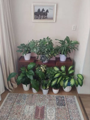 Фото 9 2-комн. квартира в Мирзо-Улугбекском районе