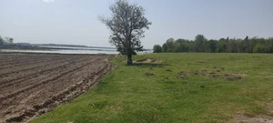 Фото 2 Участок в Урта-Чирчикском районе