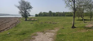 Фото 3 Участок в Урта-Чирчикском районе