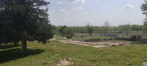 Фото 5 Участок в Урта-Чирчикском районе