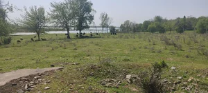 Фото 7 Участок в Урта-Чирчикском районе