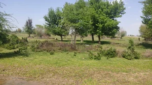 Фото 8 Участок в Урта-Чирчикском районе