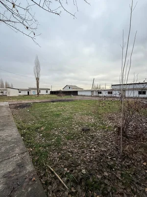 Фото 2 Участок в Ахмад Яссавий