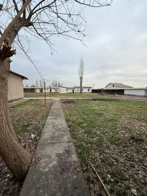 Фото 4 Участок в Ахмад Яссавий