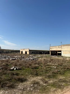 Фото 7 Участок в Юкори-Чирчикском районе