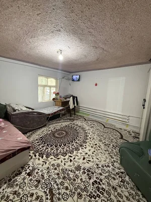 Фото 1 Участок в Политотделе Бахор