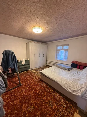 Фото 3 Участок в Политотделе Бахор