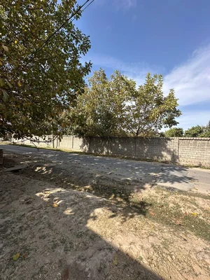 Фото 2 Участок в Маданияте Кибрай