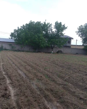 Фото 4 Участок в Маданияте Кибрай