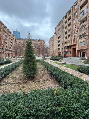 Фото 2 Квартира в Мукимий