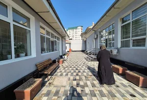 Фото 2 Участок в Яккасарайском районе