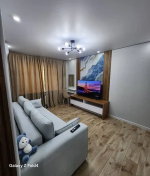 Фото 3 1-комн. квартира в Академ Городок