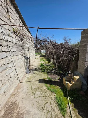 Фото 1 Участок в Янги Хаёт