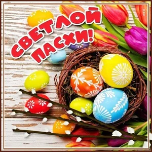 Фото 5 Не указано