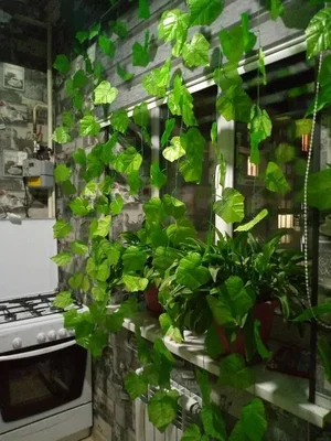 Фото 5 3-комн. квартира в Метро Миллий Бог