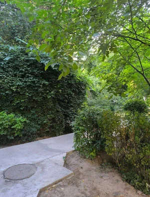 Фото 8 2-комн. квартира в Мирабадском районе