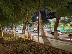 Фото 10 Коммерческая недвижимость в Аския