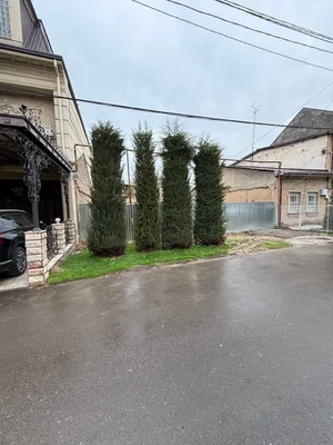 Фото 3 Участок в Мирзо-Улугбекском районе