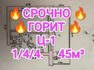 Фото 1 2-комн. квартира в Ц-1 (Costa Coffee)