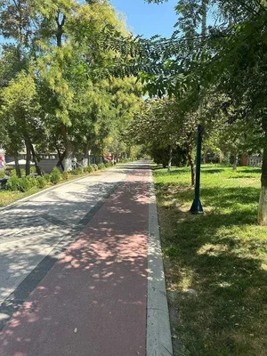 Фото 1 Не указано