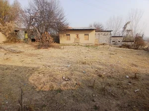 Фото 2 Участок в Кибрайском районе