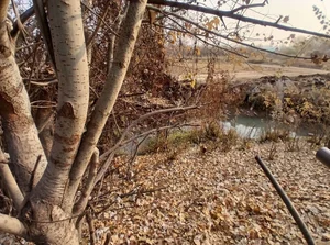 Фото 4 Участок в Кибрайском районе
