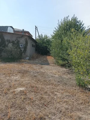 Фото 3 Участок в Новом Узбекистане