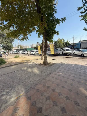 Фото 3 Коммерческая недвижимость в Юнусабадском районе