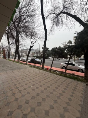 Фото 4 Офис в Яккасарайском районе