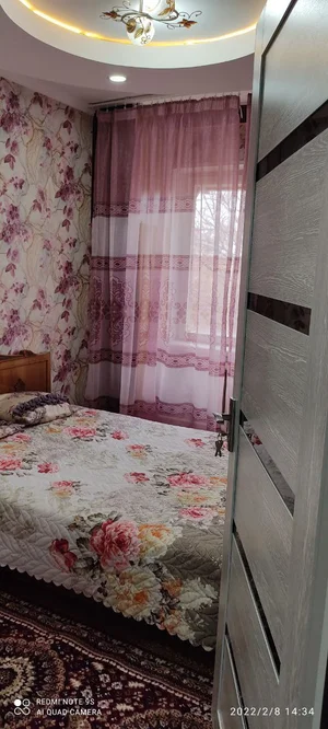 Фото 3 2-комн. квартира в Мукимми Evos