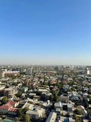 Фото 3 2-комн. квартира в Шота Руставели