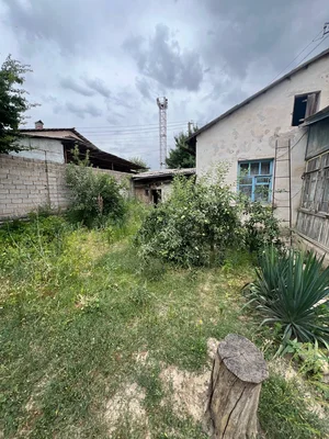 Фото 3 Участок в Алмазарском районе