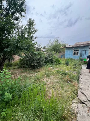 Фото 5 Участок в Алмазарском районе