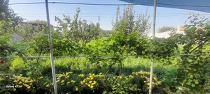 Фото 6 Дом в Янгиободе