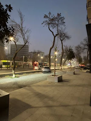 Фото 9 Нежилое помещение в Жк Shoshkent