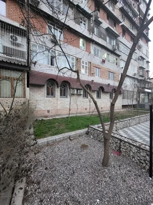 Фото 2 Офис в Сайрам