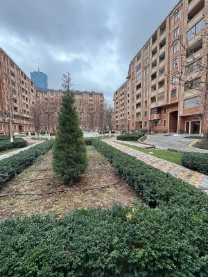 Фото 2 Квартира в Яккасарайском районе