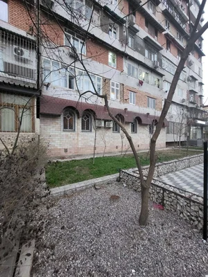 Фото 9 6-комн. квартира в Сайрам