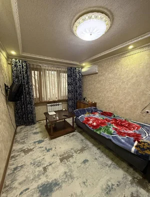 Фото 3 1-комн. квартира в Академгородке