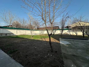 Фото 3 Участок в Ташкентской области