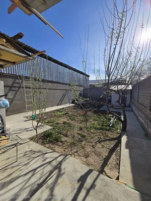 Фото 3 Дом в Янги Аргин