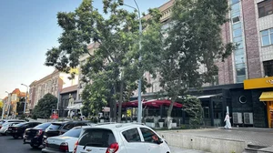 Фото 1 3-комн. квартира в Габус