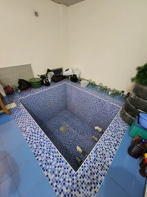 Фото 8 Дом в Мирзо-Улугбекском районе