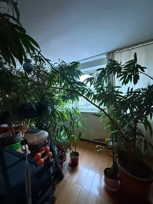 Фото 5 5-комн. квартира в Габус