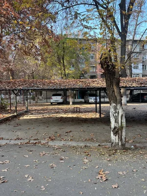 Фото 6 Квартира в Чилонзорском районе